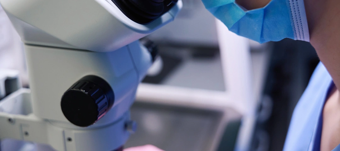Embryologist examining embryos under a microscope in the IVF laboratory