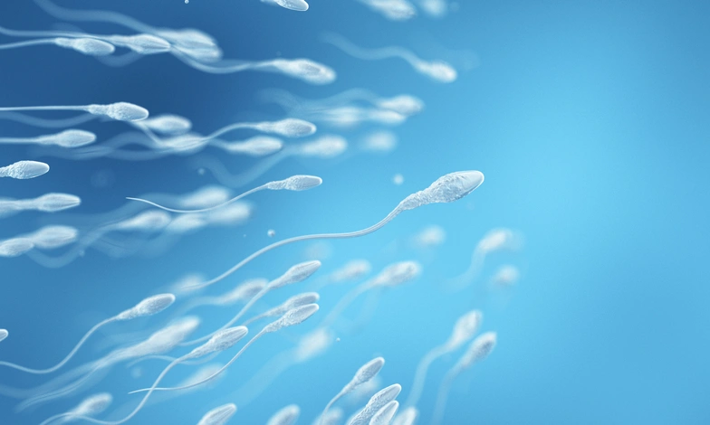 High-quality donated sperm from Ovumia Stockholm's sperm bank.